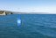 Code Zero II (kite only) 8m TEST, Pacific Blue