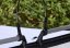 Wing Nova PRO 2025, White (Velikost 2.9m)