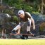 North Balance Board