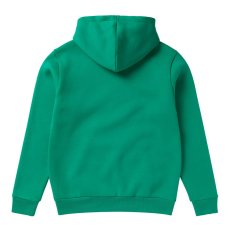 Pánská mikina Icon Hood Sweat, Bright Green