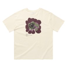 Men's Heartsease Tee, Off White (Size L)