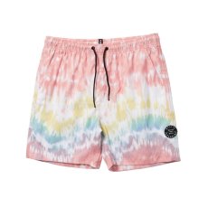Men's boardshorts Artwork Swim Boardshort, Rainbow