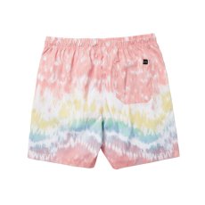 Men's boardshorts Artwork Swim Boardshort, Rainbow