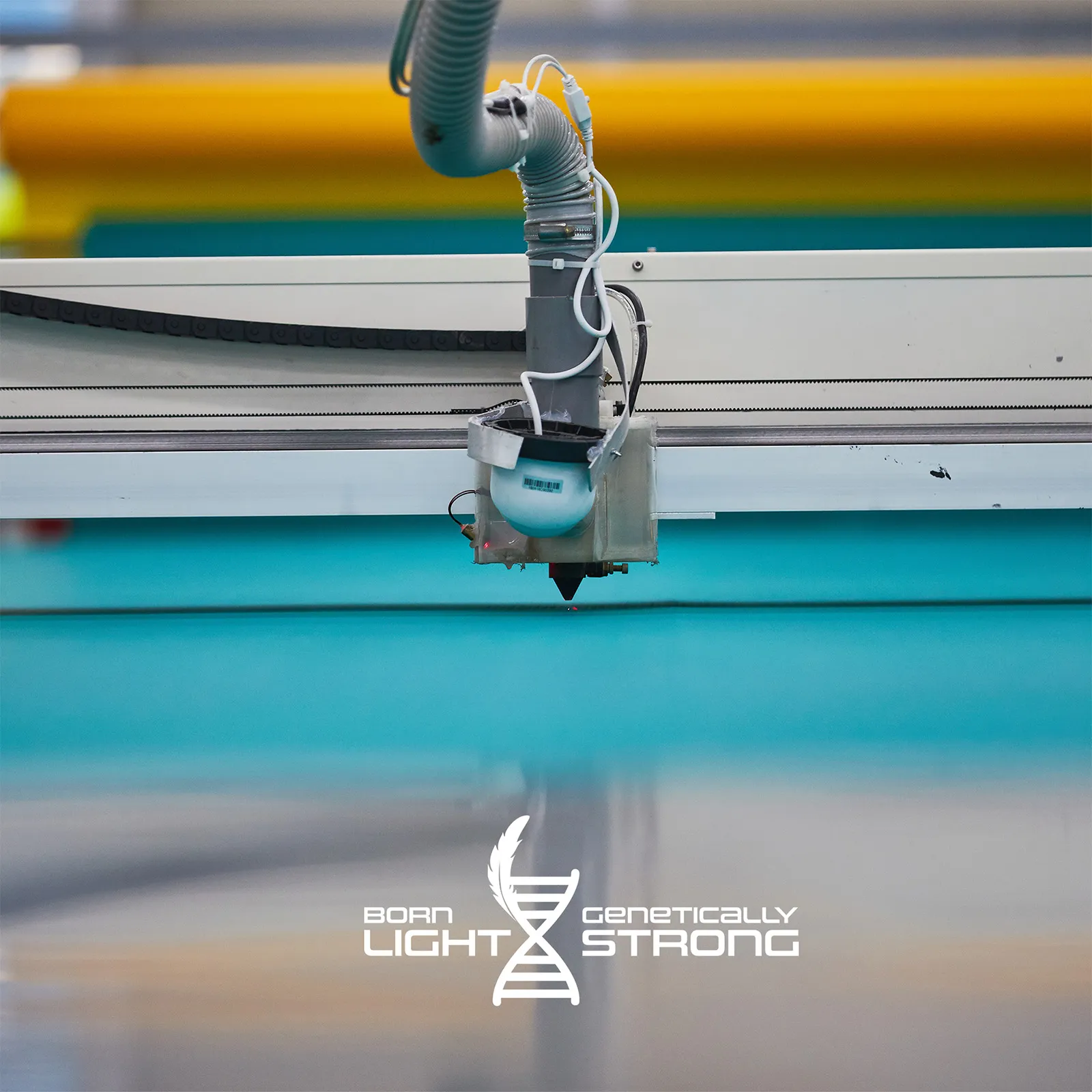 BORN LIGHT, GENETICALLY STRONG  
Guided by the shaping precision made possible by our custom-built