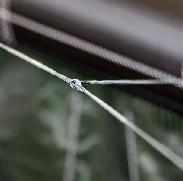 BRIDLES – COMPLETING THE FULL EXTENT OF THE MISSION 
As we continue to discover ever increasi